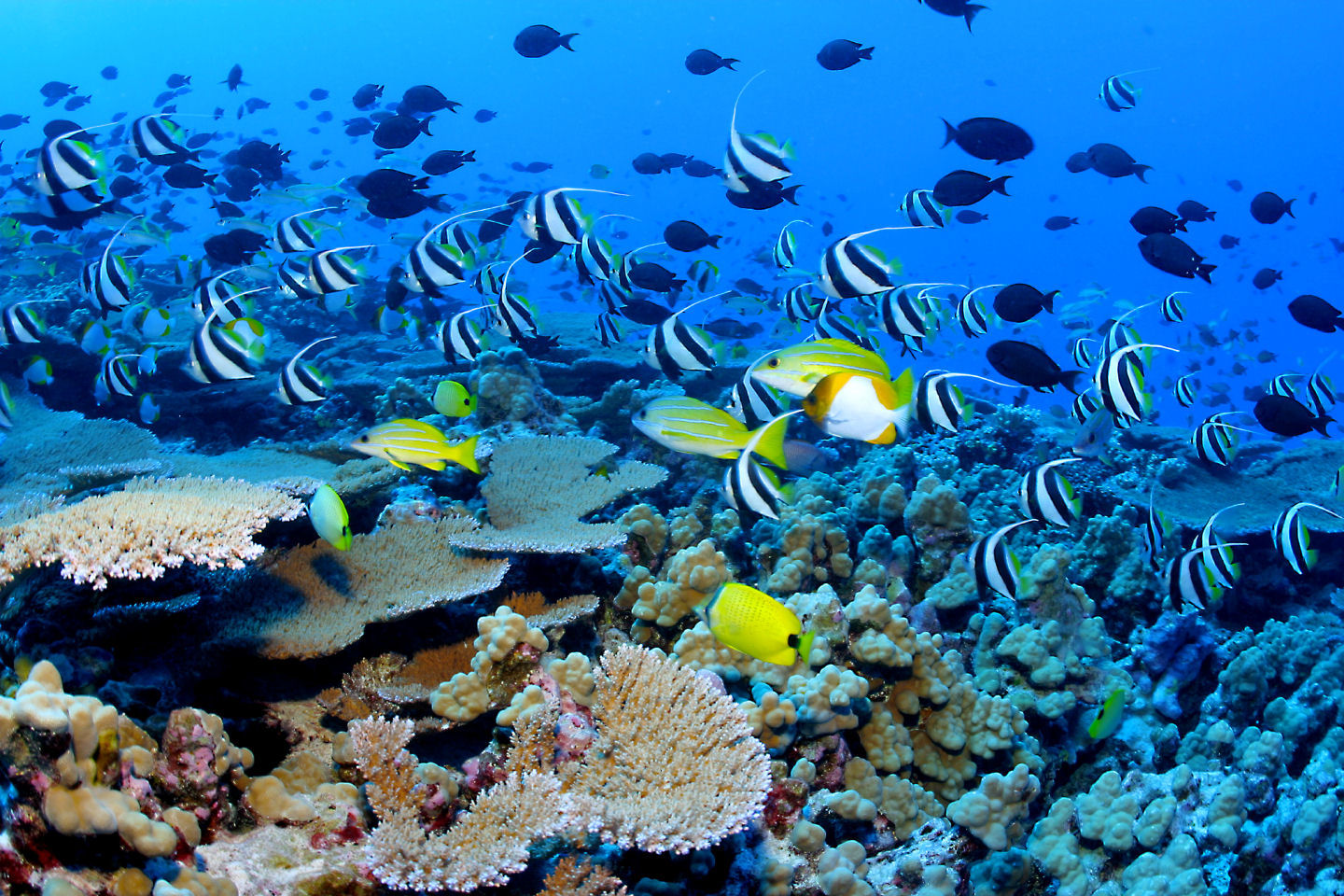 Les activités nautiques et de plaisance en Thaïlande