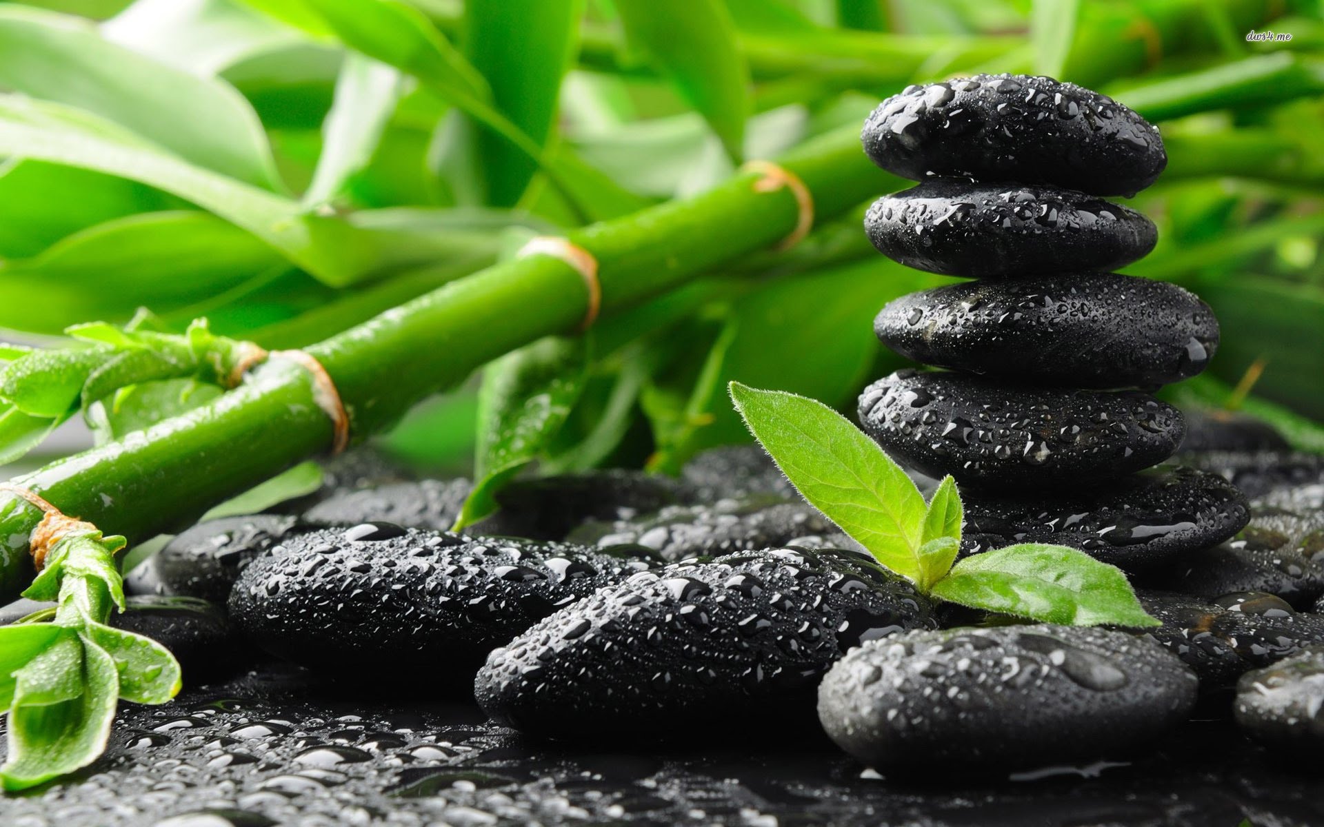 Les bienfaits du Feng shui