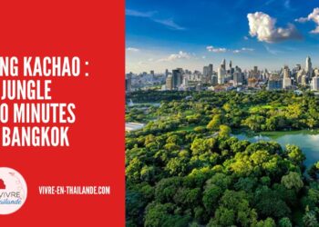 Bang Kachao : La jungle à 10 minutes de Bangkok