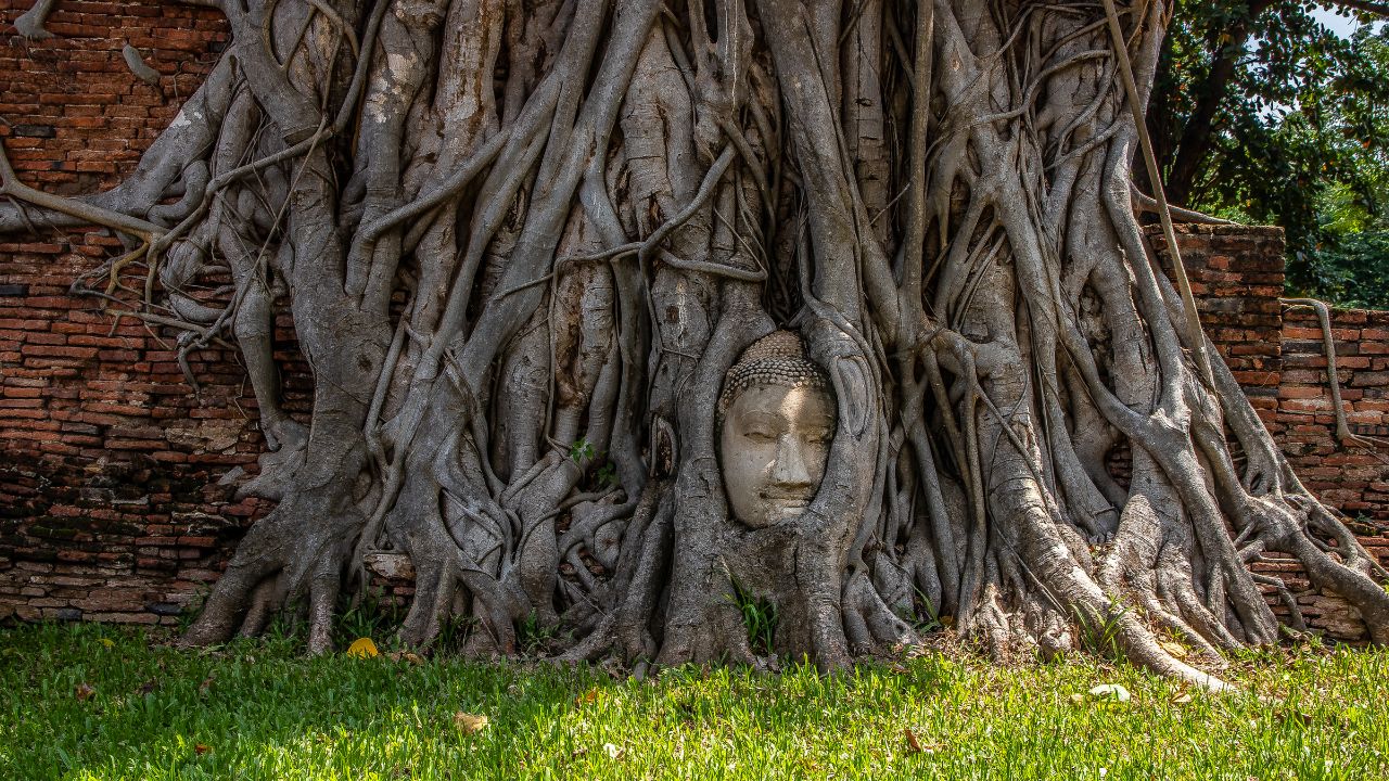 Escapades autour de Bangkok - Ayutthaya