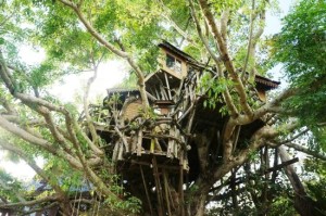 Pai Treehouse