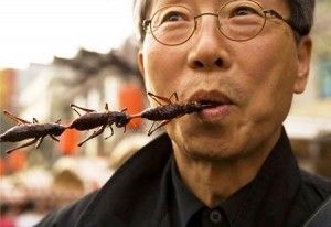 entomophagy-31-300x206
