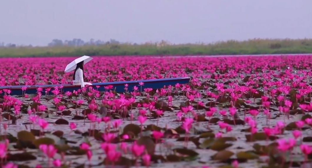 Les Lacs de Thalé Noi et Songkhla