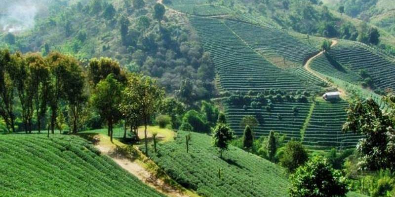 [CHIANG MAI] Chiang Rai, une Ville en Plein Cœur des Montagnes du Nord