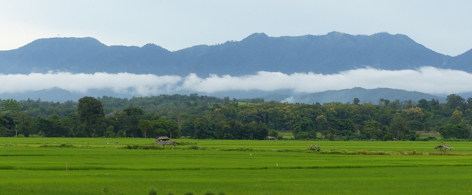 Chiang Mai 6