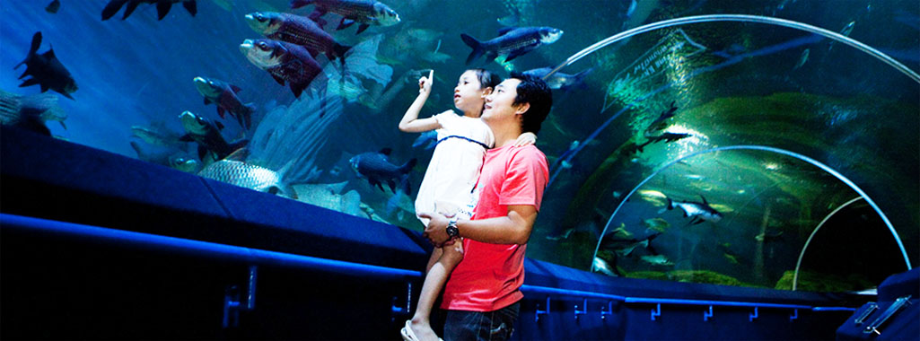 [PATTAYA] Un Aquarium Futuriste