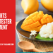 12 Desserts Thaïs À Tester Sans Plus Attendre !