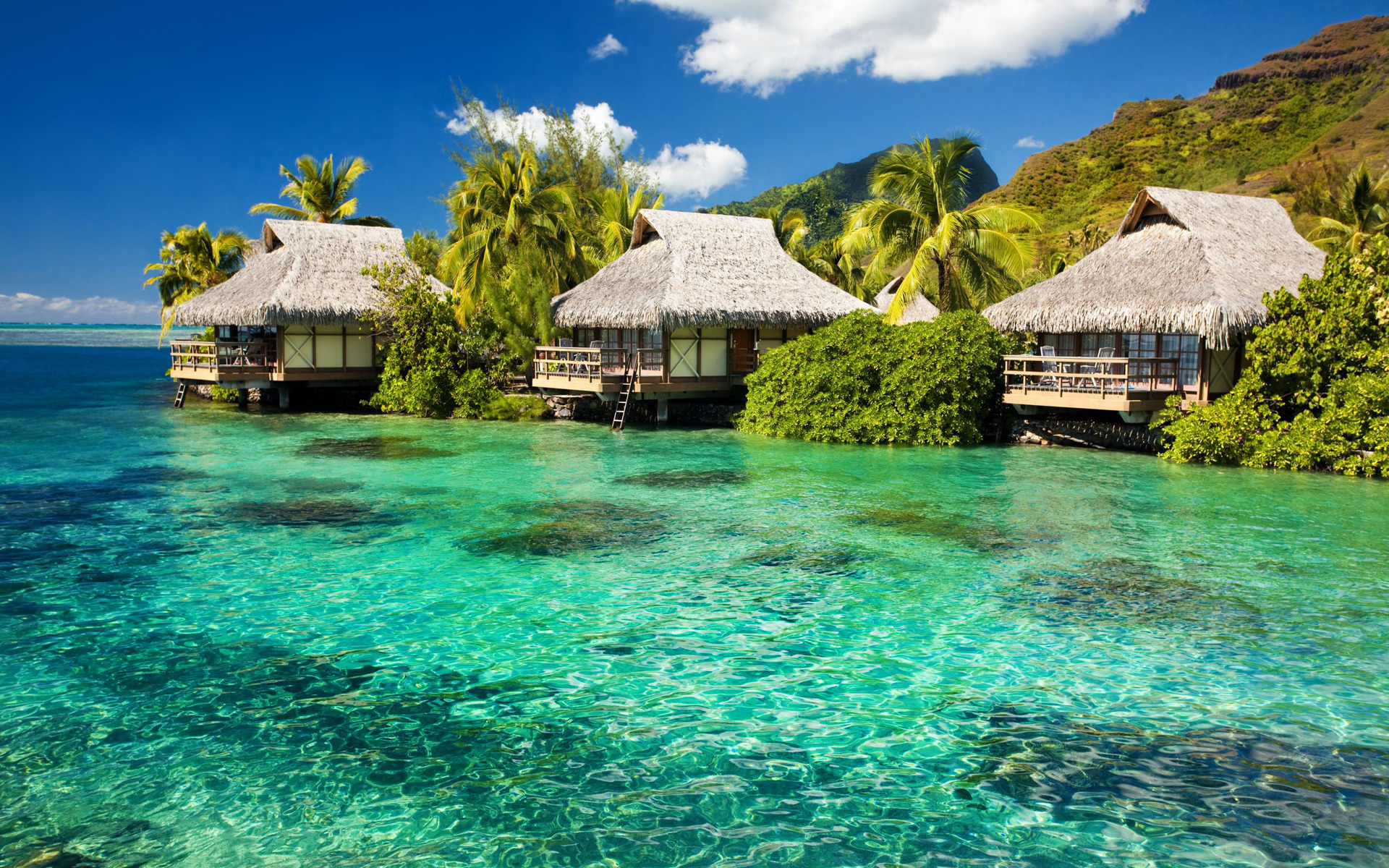 7 bonnes raisons de visiter la Thailande