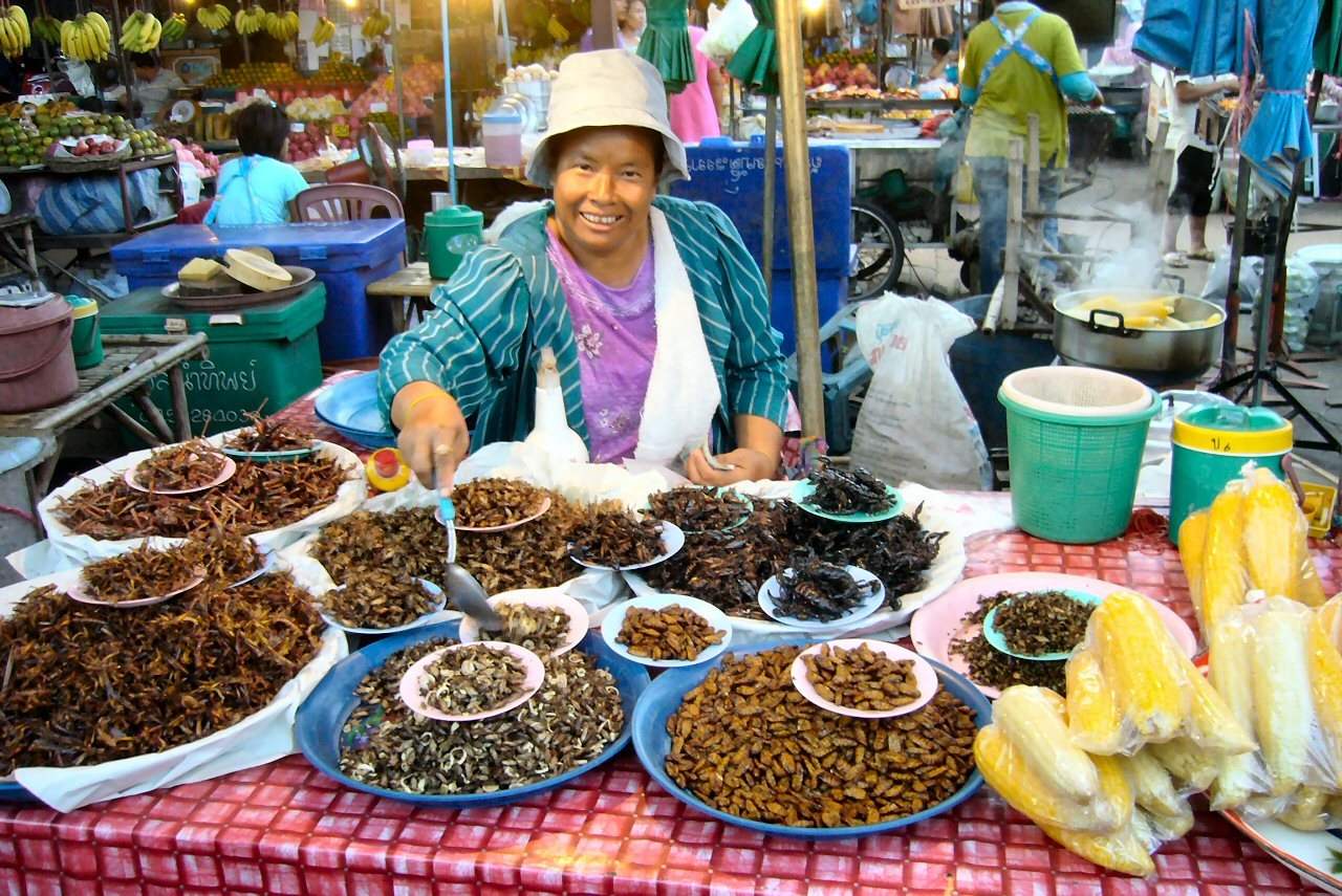 Insectes comestibles : Gastronomie : Thaïlande 