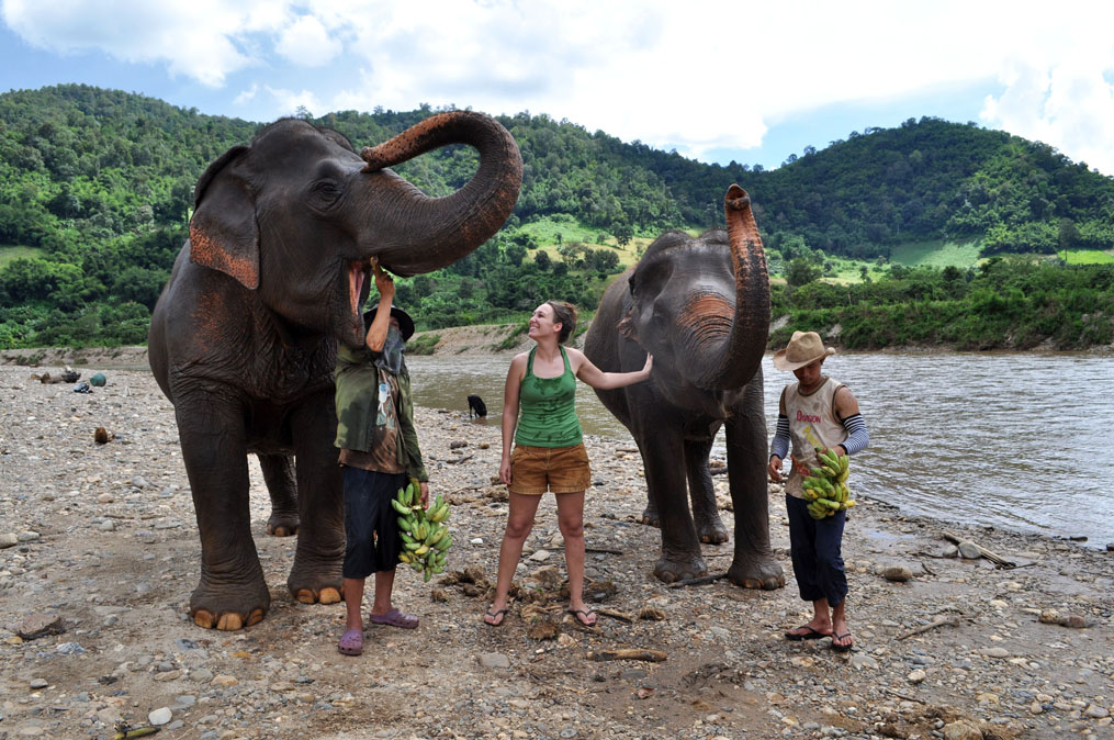 Voir et côtoyer des éléphants en Thaïlande