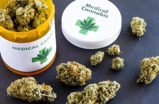 Le Cannabis Médical Légalisé en Thaïlande en Janvier 2019 ?