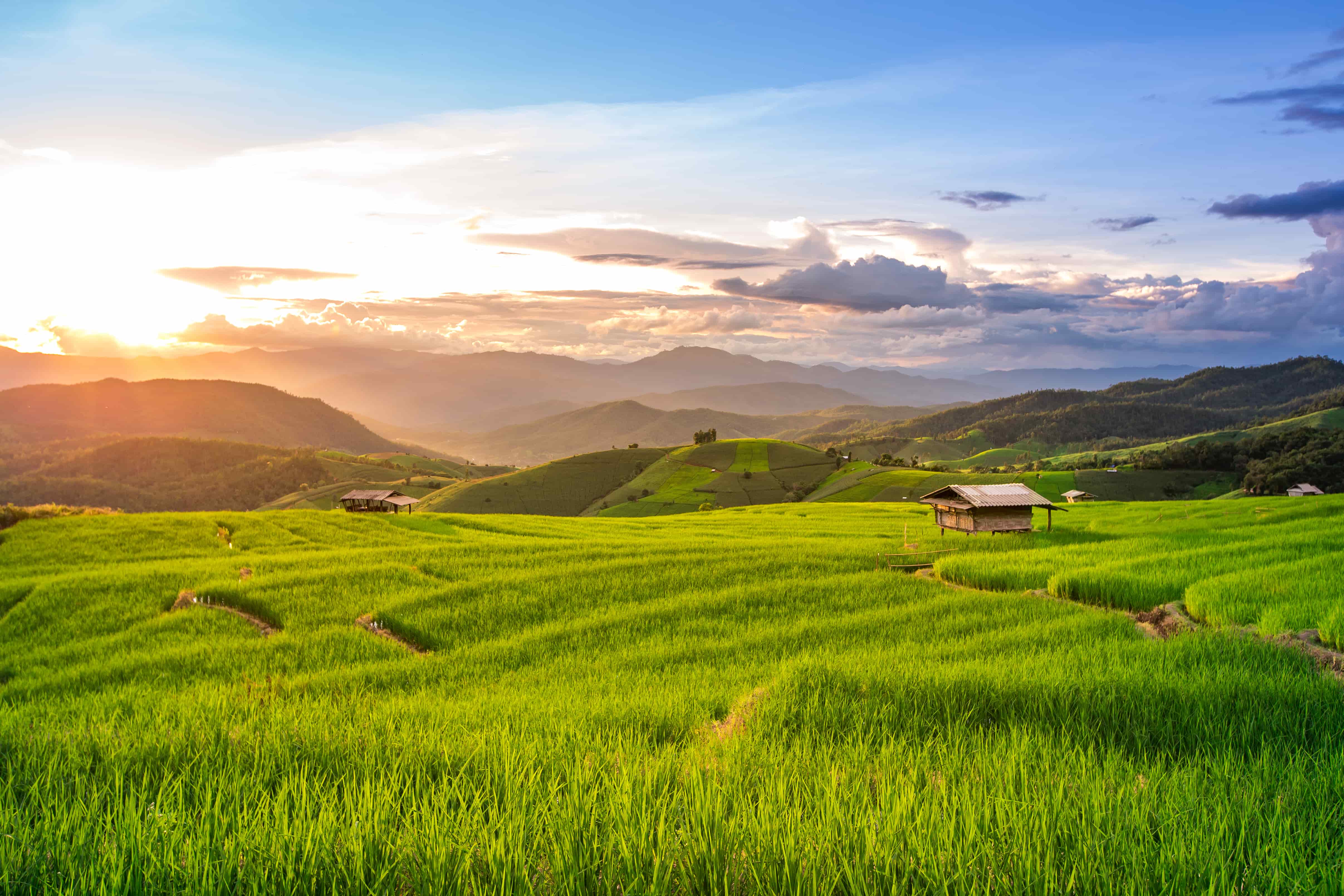Découvrez tous les secrets du Nord de la Thailande