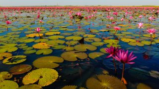 Udon Thani : Top 5 des meilleurs endroits à visiter