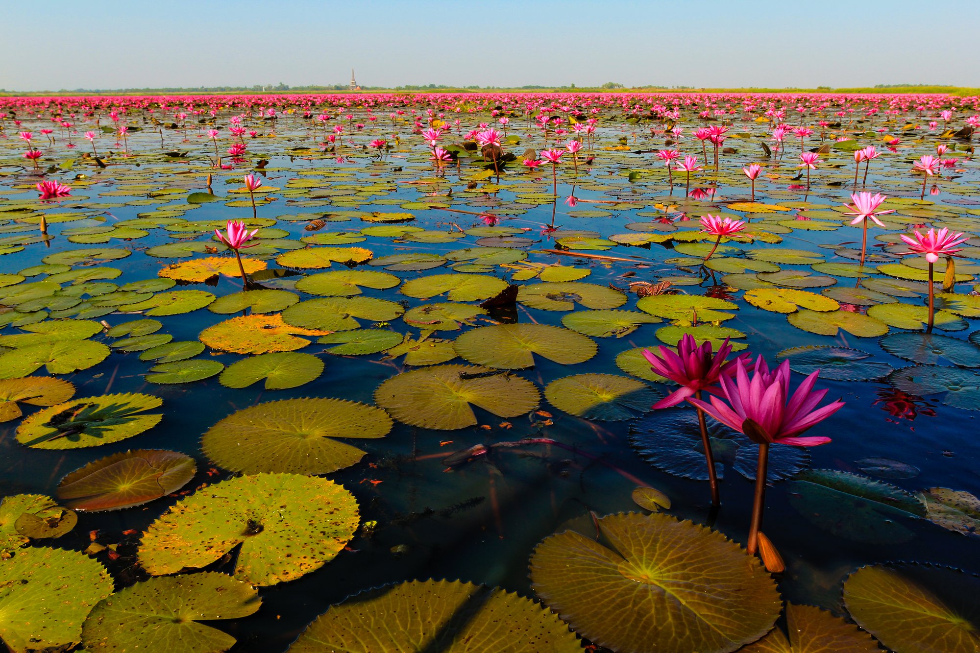 Udon Thani : Top 5 des meilleurs endroits à visiter