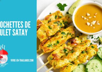 Brochettes de Poulet Satay, la Meilleure Recette