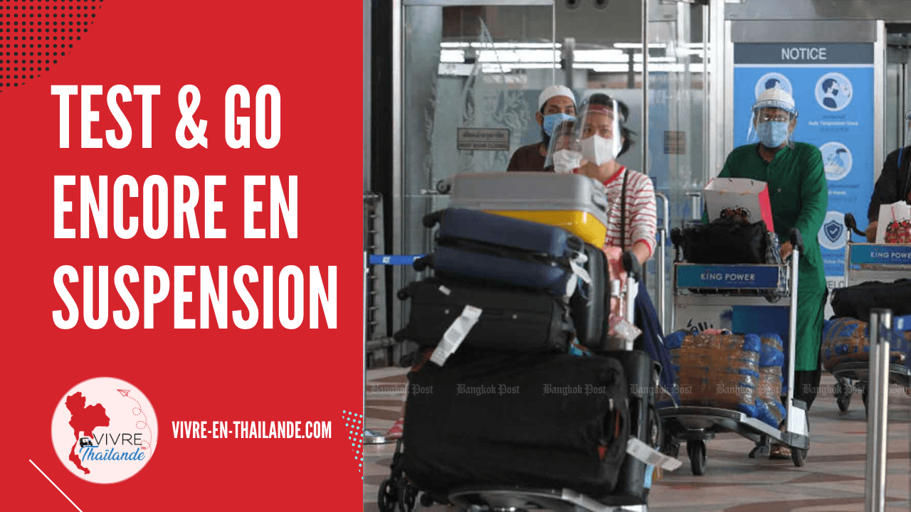 Le programme d’entrée Test & Go : encore en suspension