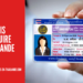 Permis de Conduire en Thaïlande : Ce qu’il Faut Savoir