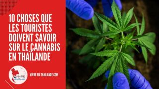 Dépénalisation du cannabis en Thaïlande : 10 choses que les touristes doivent savoir cover