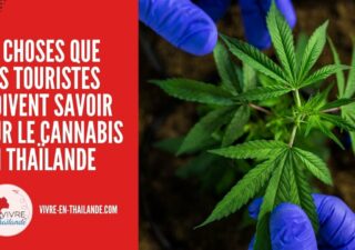 Dépénalisation du cannabis en Thaïlande : 10 choses que les touristes doivent savoir cover