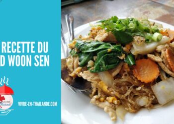 La Recette Thaïlandaise du Pad Woon Sen (Délicieuses Nouilles Sautées) cover