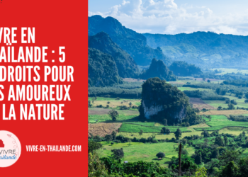Vivre en Thaïlande : 5 endroits pour les amoureux de la nature