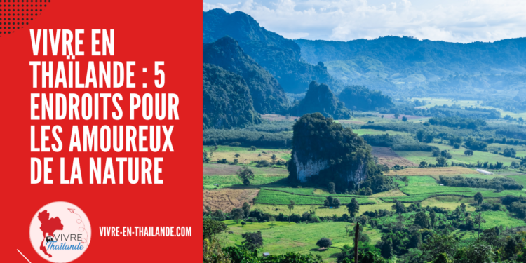 Vivre en Thaïlande : 5 endroits pour les amoureux de la nature