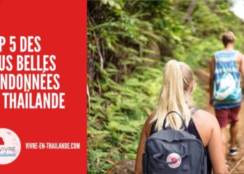 Top 5 des plus belles randonnées à faire en Thaïlande cover