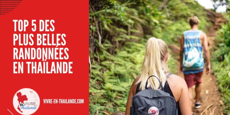 Top 5 des plus belles randonnées à faire en Thaïlande cover