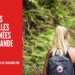 Top 5 des plus belles randonnées à faire en Thaïlande cover