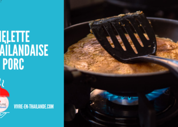 [Recette Facile et Rapide] Omelette Thaïlandaise Au Porc Haché