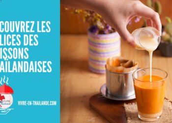Découvrez les Délices des Boissons Thaïlandaises cover