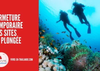 Fermeture Temporaire des Sites de Plongée en Raison du Blanchissement des Coraux cover