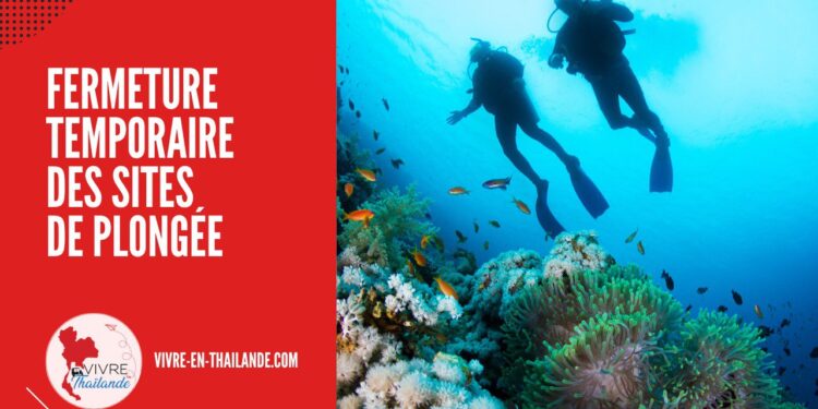 Fermeture Temporaire des Sites de Plongée en Raison du Blanchissement des Coraux cover