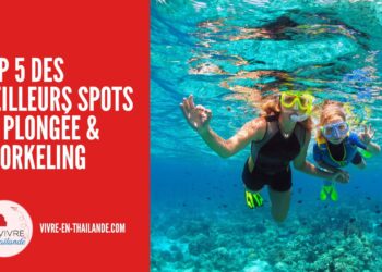 Top 5 des Meilleurs Spots de Plongée et Snorkeling à Découvrir en Thaïlande cover