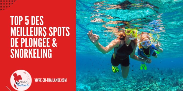 Top 5 des Meilleurs Spots de Plongée et Snorkeling à Découvrir en Thaïlande cover