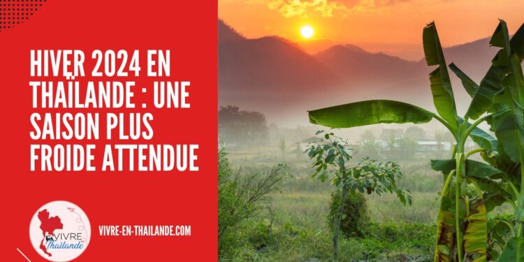 [Météo] Hiver 2024 en Thaïlande : La Saison Serait Plus Froide Selon les Prévisions cover