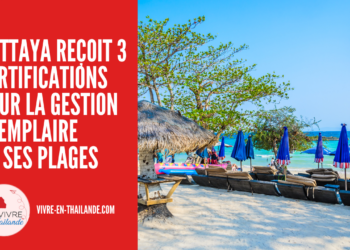 Pattaya Reçoit Trois Certifications Prestigieuses pour la Gestion Exemplaire de Ses Plages