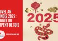 Nouvel An Chinois 2025 : l'Année du Serpent de Bois cover