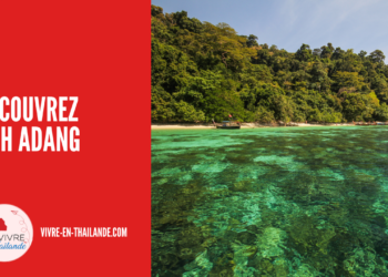 Koh Adang, Entre Sérénité & Beauté sauvage