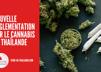Nouvelle Réglementation sur le Cannabis en Thaïlande : Ce Qu’il Faut Savoir