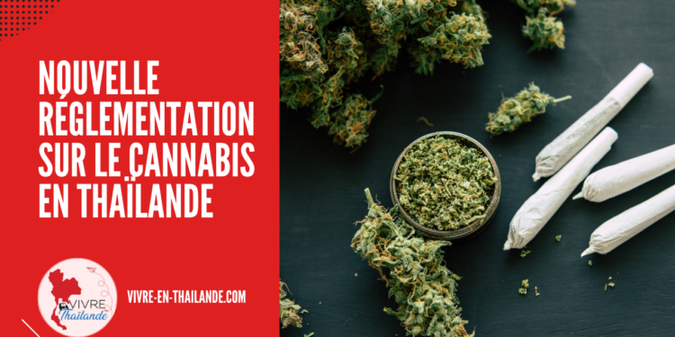 Nouvelle Réglementation sur le Cannabis en Thaïlande : Ce Qu’il Faut Savoir