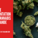 Nouvelle Réglementation sur le Cannabis en Thaïlande : Ce Qu’il Faut Savoir