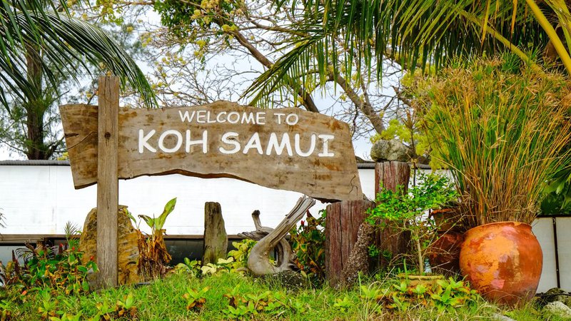 Pourquoi visiter Koh Samui en famille en juillet ou août ?