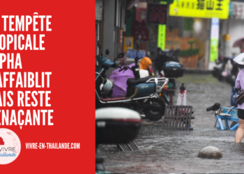 Météo : la Tempête Tropicale Wipha S’affaiblit Mais Reste Menaçante pour la Thaïlande