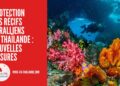 Protection des Récifs Coralliens en Thaïlande : Nouvelles Mesures pour un Tourisme Durable en 2025