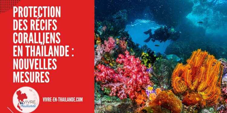 Protection des Récifs Coralliens en Thaïlande : Nouvelles Mesures pour un Tourisme Durable en 2025