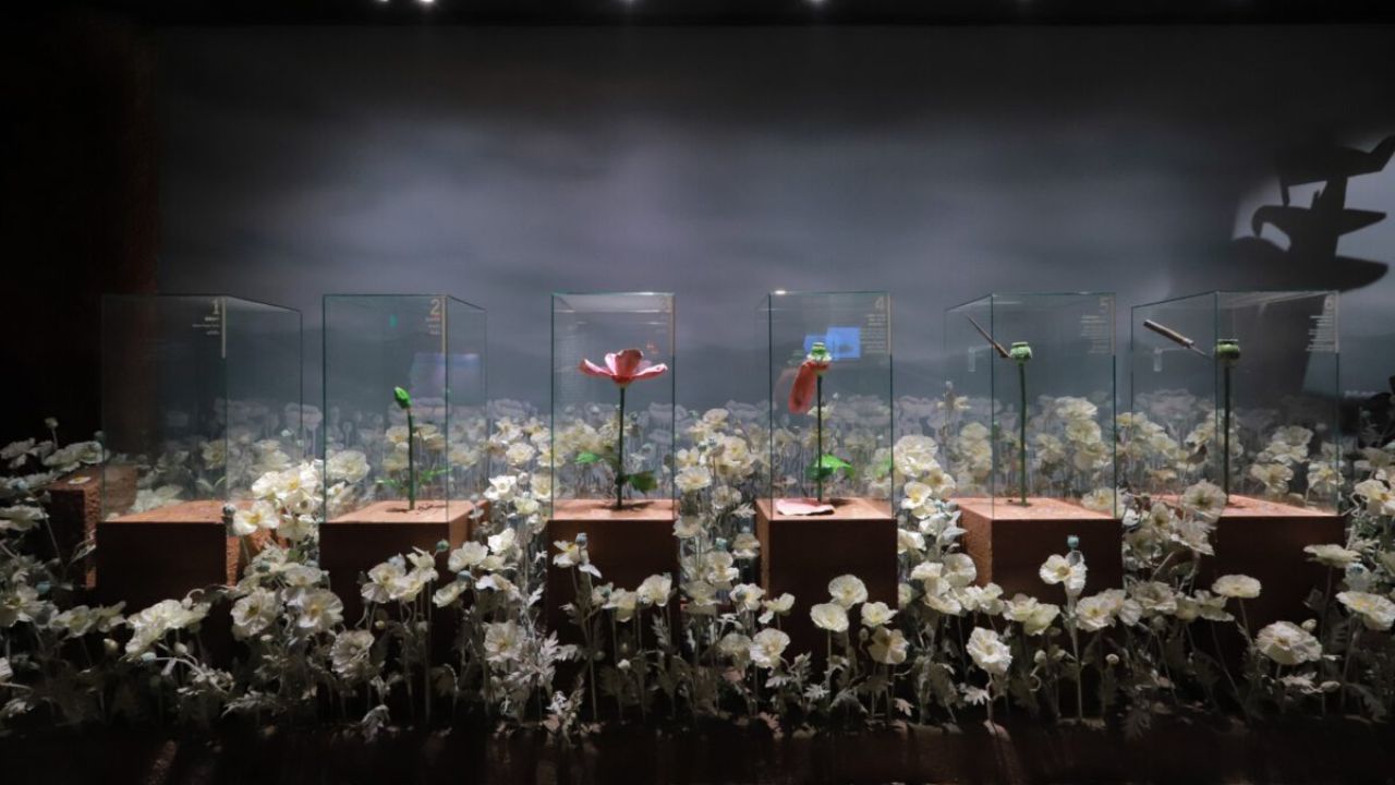 Musées Insolites en Thaïlande