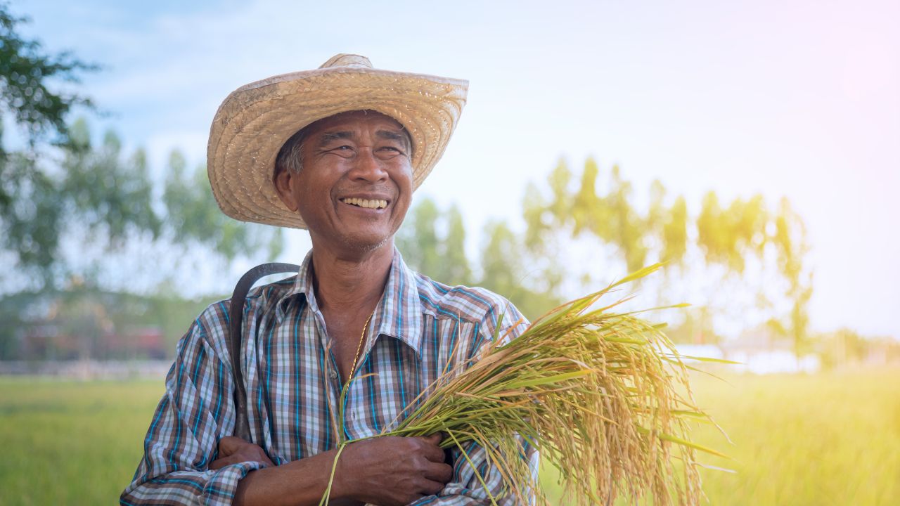 5 Leçons de Vie Essentielles que Vous Apprendrez en Voyageant en Thaïlande