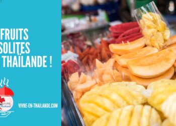 10 fruits insolites que vous devez tester absolument en Thaïlande !