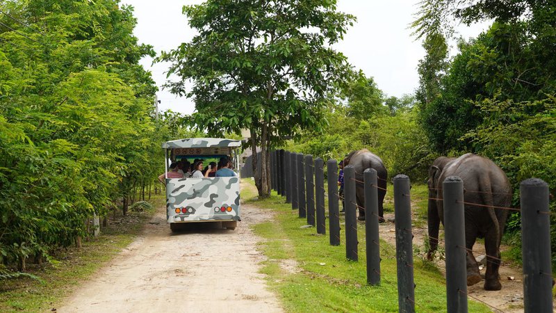 Choisir un sanctuaire éthique en Thaïlande en 2026 